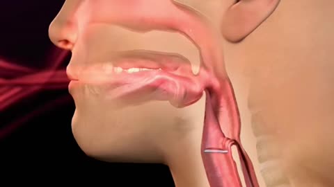 what happens when you lose your nose👂or hand ✋??