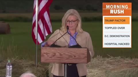 The Trump factor_ Liz Cheney loses Wyoming re-election bid