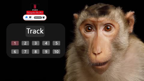 Monkey sound effect no copyright | monkey noises | monkey sounds