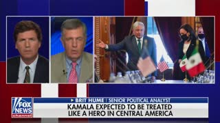 Brit Hume Talks Kamala Harris