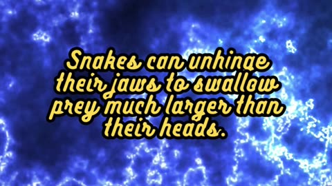 Animal Facts Snakes #shorts