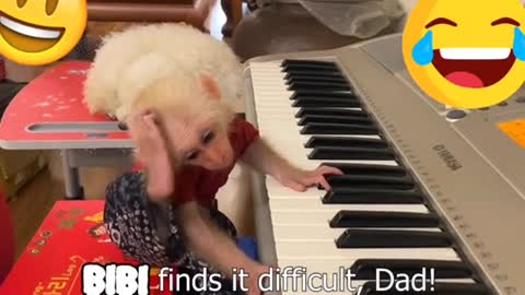 Baby Monkey feels bewildered when dad teaches piano!