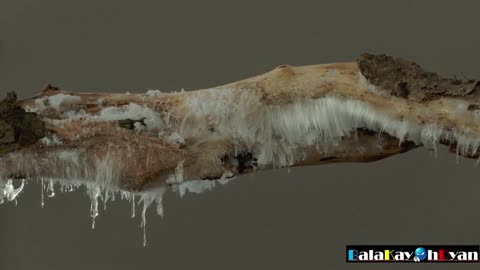 Ice formation and melts Time-lapse