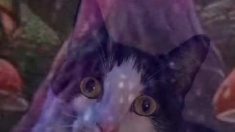 When the nip kicks in