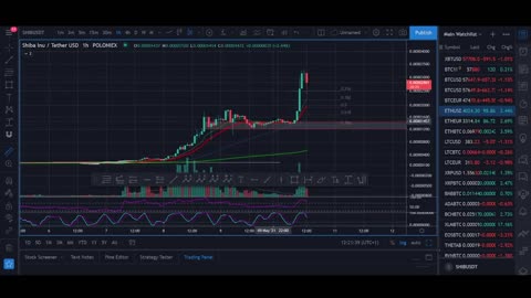 Shiba Inu Price Prediction 2021