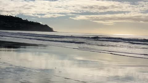 January 29 Walk on the Beach