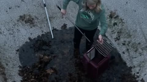 Bunny Rescued From Bottom of Empty Pool