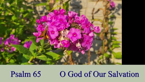 Psalm 65 - ESV Audio