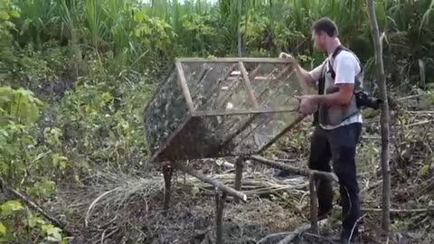 Animals Being FREED For The First Time