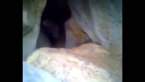 Alien Bodies - All Videos With Live Specimens Inside Nazca Caves Where Alien Mummies Were Found