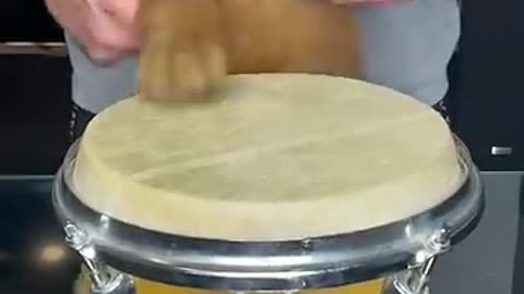 Puppy Drums 😂😂