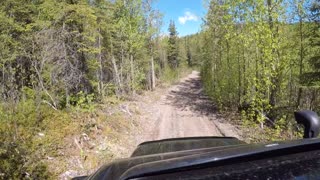 Summer Time, Old Seward Highway VI