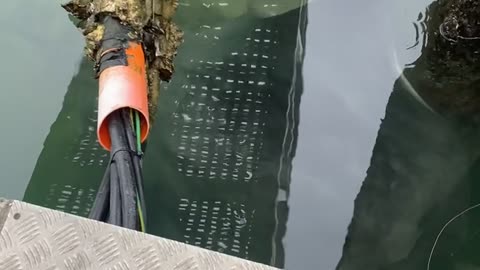 Giant stingray takes our bait while fishing