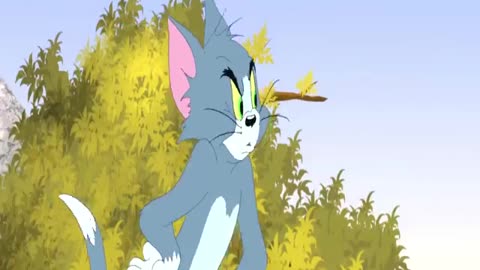 Tom and Jerry cartoon comedy