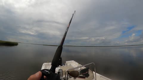 Georgia Coast Inshore Fishing