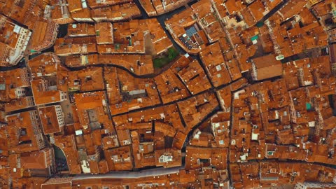 Venice From Above