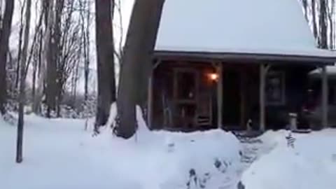 Winter at the Log Cabin Homestead