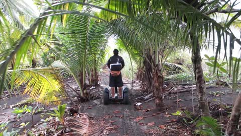 Segway Costa Rica - Jeff Mann