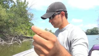 Setting up a basic slip sinker rig