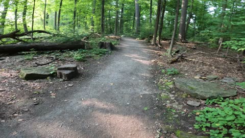 🌴 Welcome To Mud Lake Trails Part 2 In Ottawa, Ontario, 🍁Canada 🦧