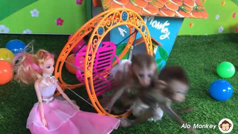 Baby Monkey BiBi Playing With Barbie Doll, Animals Home