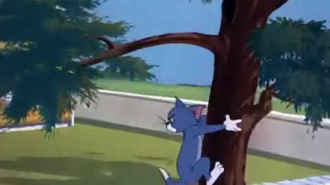 Tom and Jerry - That's My Pup