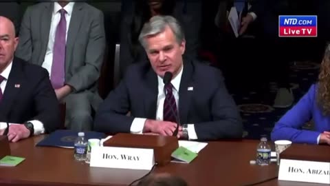 Rep Higgins (La) asked FBI director Wray point blank about FBI "informants" in the capitol on Jan 6