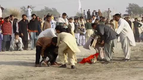 LATEST PAKISTAN DOG RACE WITH AMZING SLOWMO REPLAY ACTION 2021