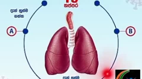 Test you positive or negitive covid 19