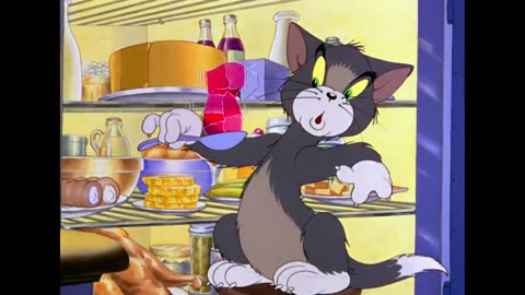 Tom & Jerry Cartoon