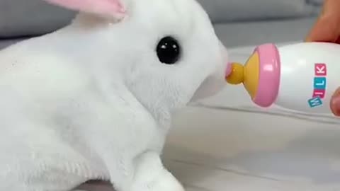 Pretty rabbit | #shorts #smart_toys_gadgets_invention #gadgets #rabbit #rabbits