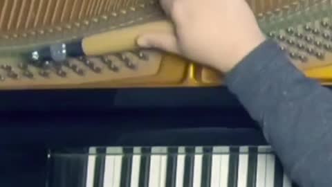 Tuning Low Notes on Bösendorfer 225