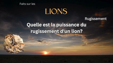 Fait sur le Lion 6 - Quelle est la puissance du rugissement d'un lion?