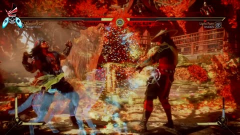 Mortal Kombat 11 Nightwolf fatal blow