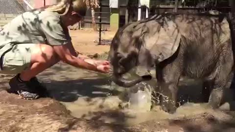 Orphaned elephant, loves to play in the water!