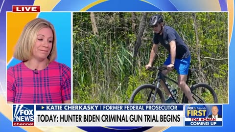 It would be 'risky' for Hunter Biden to take the stand in gun trial_ Cherkasky Fox News