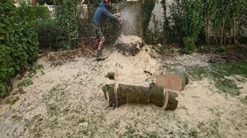 If you are looking for Tree Stump Removal in Broadford