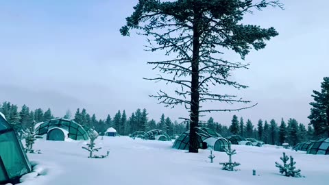 Flying to Lapland in Finland ❄️🇫🇮