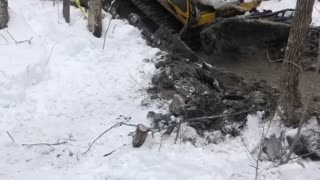 Groomer stuck deep on the trail