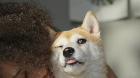 Beautiful woman sharing beautiful bond with her cute pet dog.