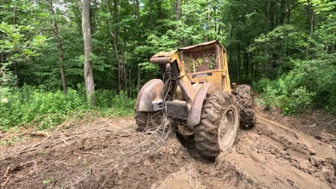 Logging Skidder Soft Maple Trees #heavyequipment #logger #logginglife