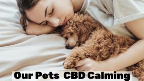 CBD For Pets!