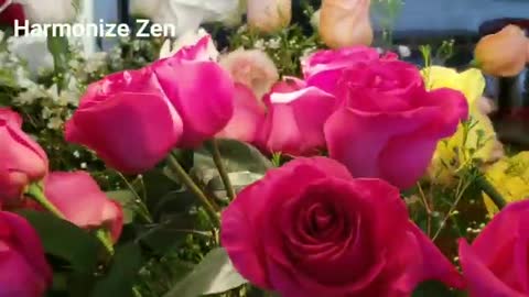 Activate rose archetype to attract love with powerful 528hz frequency