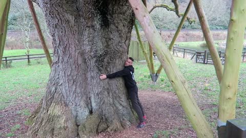 OUR LUXURY TREEHOUSE TOUR - LIVING IN A TREE