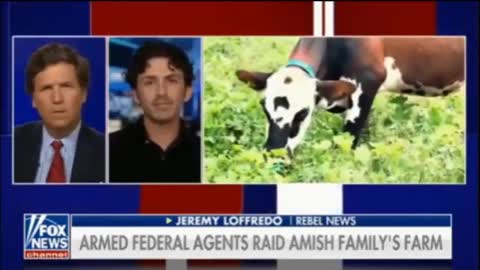 Best of Tucker Carlson August 19,2022 Part 3 Biden Admin DOJ goes after organic Amish farmers