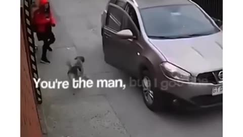 The stray dog ​​saved the girl! He knows the girl is Scared.