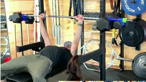 How to Make Your Dumbbells Work For #benchpress (& more Barbell Exercises) Dualbell Dumbbell Adapter