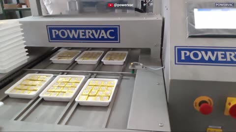 Linear Type Dryfruits Bite Packing Machine, Automatic MAP Tray Sealing Machine AVTS-550