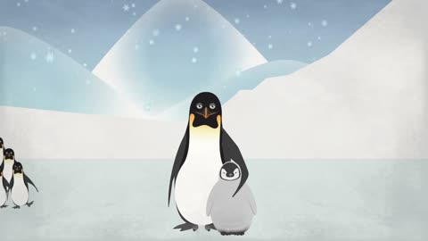 Penguins have long captured the imagination and hearts of people around the world.