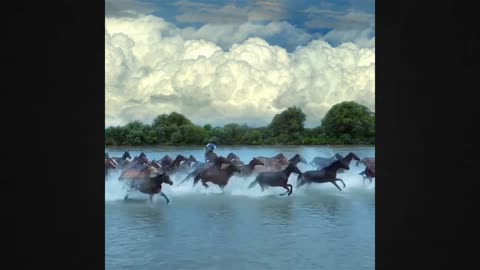 Amazing! These Horses Running on Water Defy Reality